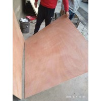 杨木包装垫板夹板 单面红胶合板