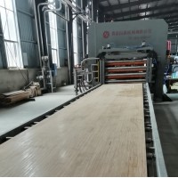 长尺寸压制测压竹板材热压机 用于卡车/集装箱竹底板生产