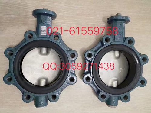 保证原装正品德国EBRO支耳式蝶阀Z014-A..