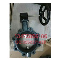 保证原装正品德国EBRO依博罗涡轮蝶阀 Z014-A