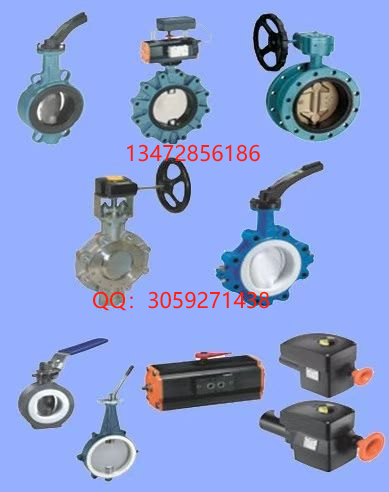 保证正品 德国依博罗EBRO阀门