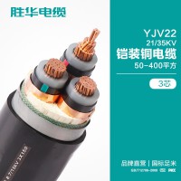 新乡胜华 YJV22 21/35KV铠装铜电缆 可定制